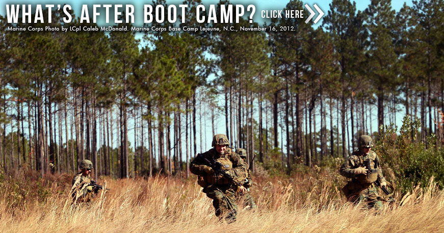 Whats After Boot Camp Overview